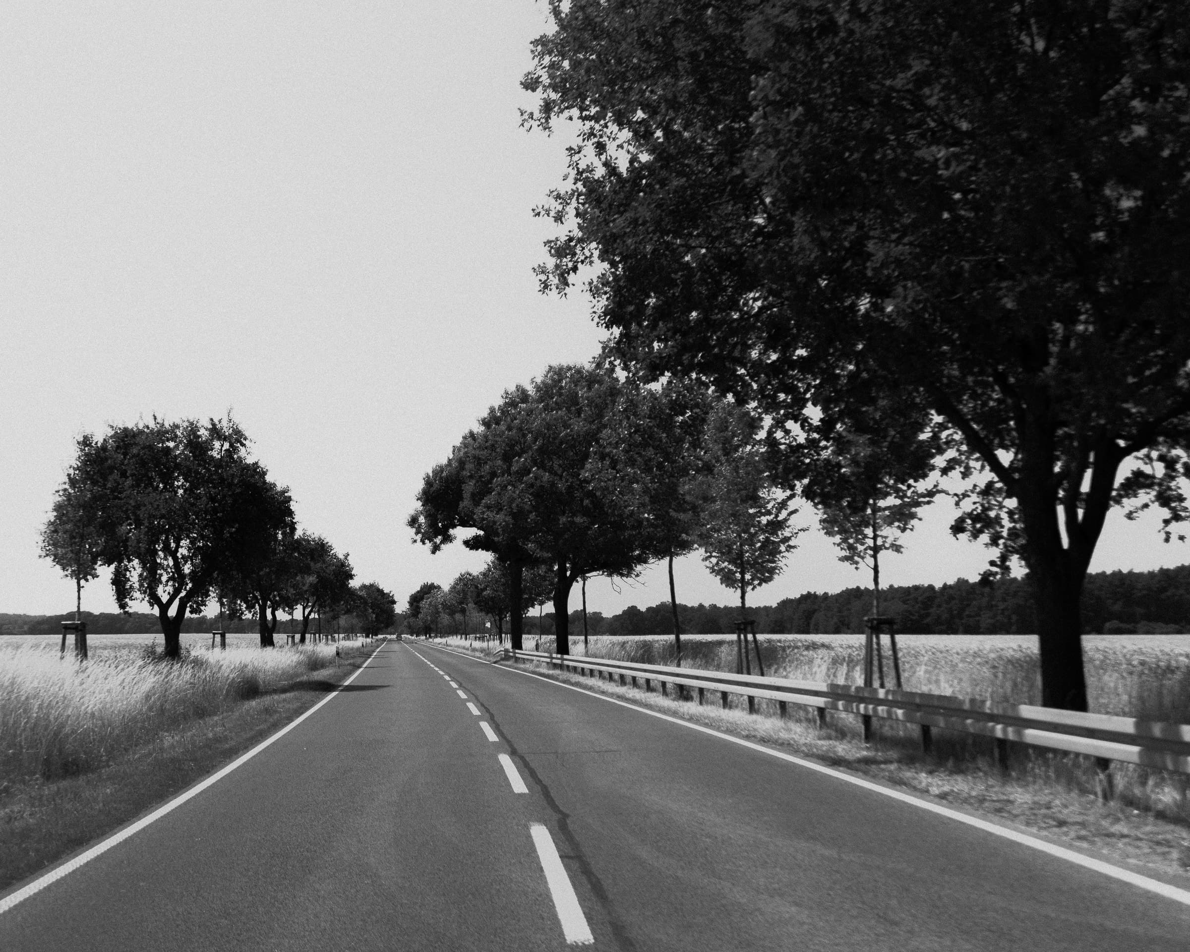 Roadside — Aziz Mastouri